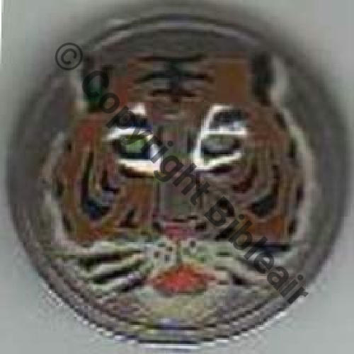 309  1eDRILLE INDO V571 ex V309 1eDRILLE OBSERVATION DU GMA 595  INDOCHINE  Fab locale Tube Dos lisse irreg 535Eur02.06 
